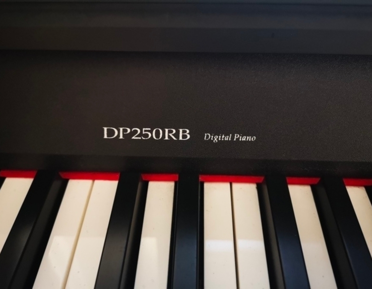 Цифровое пианино Medeli DP250RB - фото 3