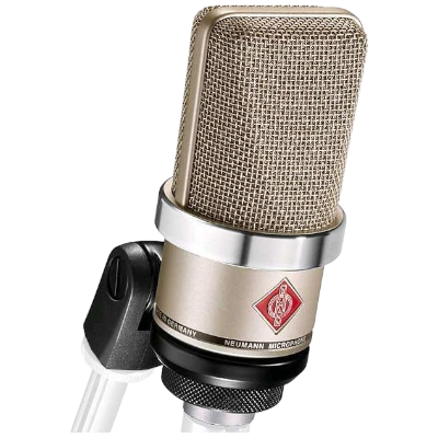 Студийный микрофон Neumann TLM 102 NI