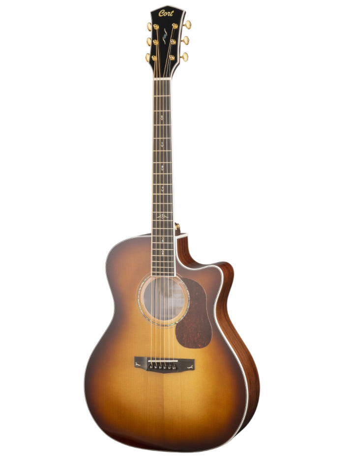 Электроакустическая гитара Cort Gold-A8-WCASE-LB — общий вид