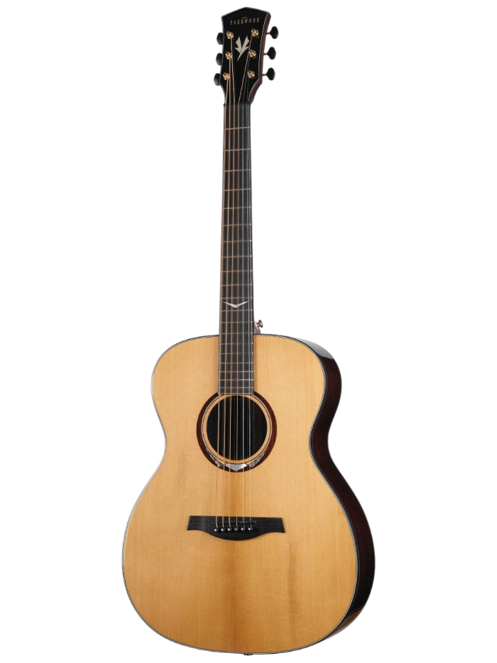 Электроакустическая гитара Parkwood P870TAK-SE-WCASE-NAT — общий вид