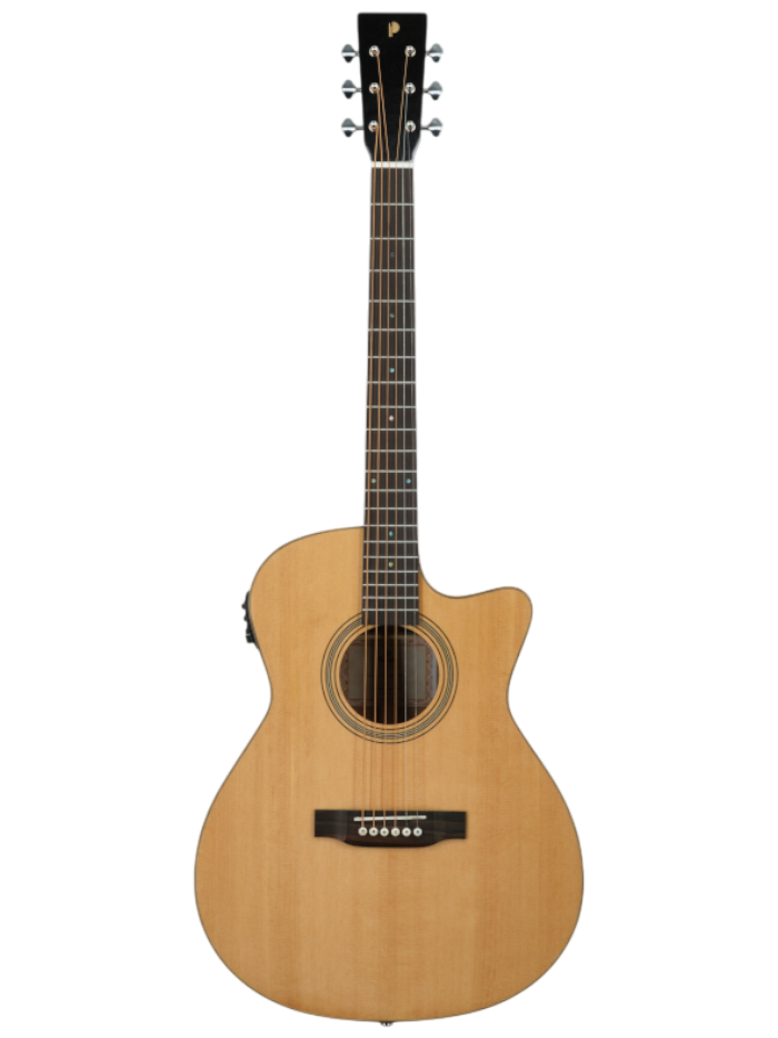 Электроакустическая гитара Prodipe JMFSA300CEQ — общий вид