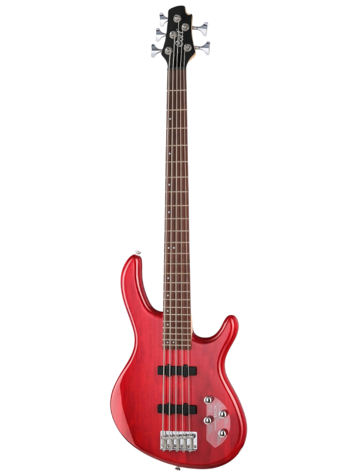 Бас-гитара Cort Action-Bass-V-Plus-TR — общий вид