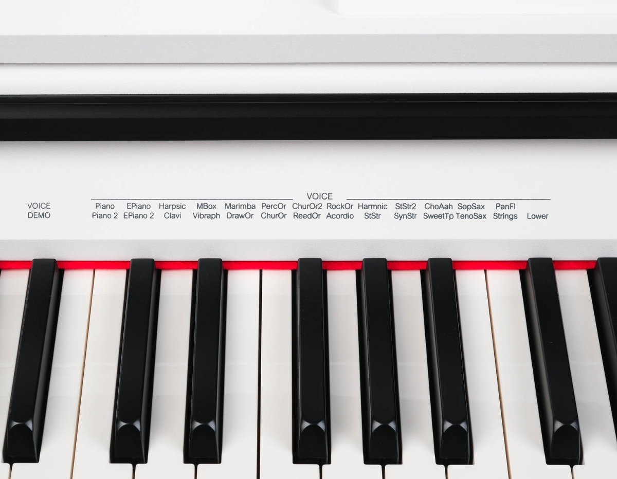 Цифровое пианино Medeli DP250RB WH - фото 4