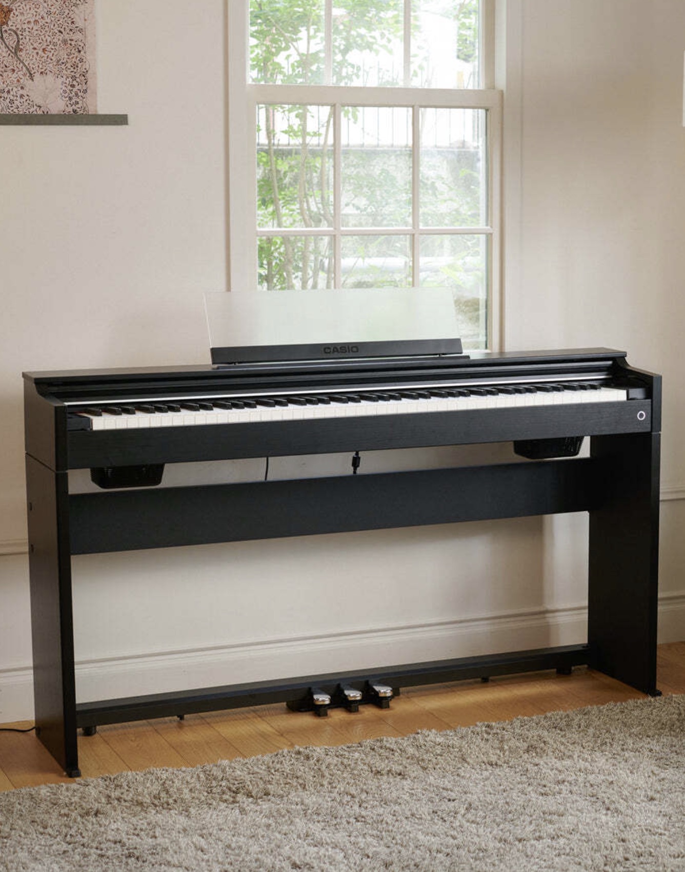 Цифровое пианино Casio Celviano AP-S200BK