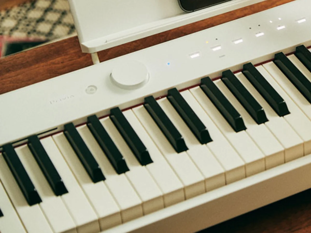 белые клавиши покрыты 